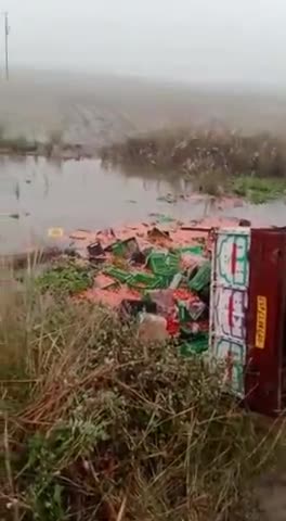 फर्रुखाबाद: जमापुर और गोटिया के बीच में जो मोड़  पर रात में टमाटर वाली पिक अप गिरी नीचे #रंजीत कुमार लोधी #तुलाराम राजपूत लोधी