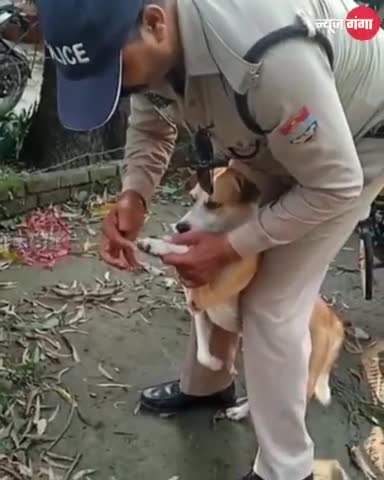 उत्तराखंड पुलिस के जवान ने निभाया इंसानियत का फर्ज, घायल कुत्ते के पैरों पर लगाई दवाई।

#uttarakhandpolice