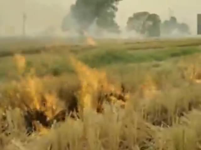 पंजाब के संगरूर में किसानों ने खेतों में पराली जलाई, दिल्ली समेत कई राज्यों में बढ़ रहा वायु प्रदूषण। #pollution #delhi