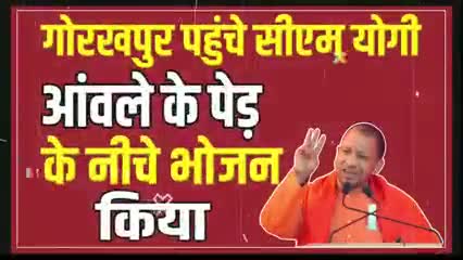 गोरखपुर पहुंचे योगी जी एकादशी के दिन किये आवले के निचे भोजन
अचानक क्यों रो पड़े CM योगी#यूपी#धर्म#संस्कार#गोरखपुर#चंदौली
