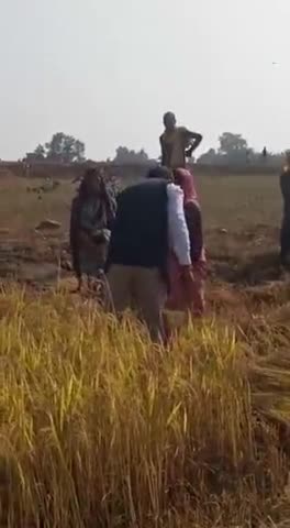 रायपुर: #CGViralVideo : जब खेत में मनेंद्रगढ़-चिरमिरी-भरतपुर कलेक्टर पहुंचे धान काटने

आप देखें वीडियो

#ias #viralvideo