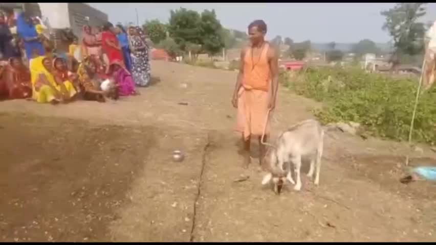 भक्तिभाव व हर्षोल्लास के साथ किया गया वन देवी बंजारी माता की पुजा
#churchu