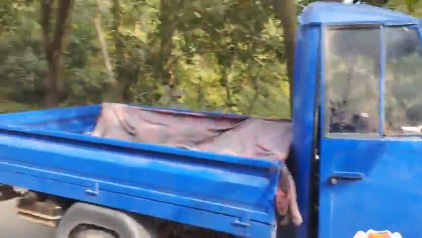 माता बोली देवी के समीप टेंपो चालक पेड़ से जा टकराया मौके पर प्रशासन भी मौजूद Devi #Narha #mohnimadal #narkatiya