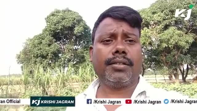 गन्ने के साथ करें आलू की खेती और कमाएं दोगुना मुनाफा | Sugarcane farming 

 #farmerthejournalist #ftj #krishijagran