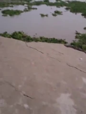 मनिहारी: मनिहारी प्रखंड अंतर्गत #बाघमारा में गंगा कटाव जारी है लोग दशहत में 93 करोड़ से बोल्डर पिचिंग नहीं हुआ कामियाब ।