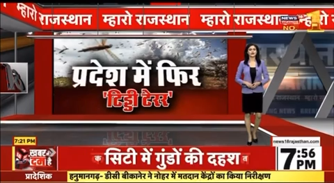 राजस्थान में ‘टिड्डी टेरर’ जालोर जिले के सायला व बागोड़ा क्षेत्र में टिड्डी दल ने किया अटैक, किसानों के खेतों में खड़ी फसल को किया बर्बाद, किसान बोले - मुआवजा #jalore