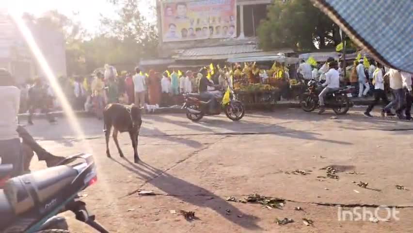 पलेरा: पलेरा में बड़े ही धूमधाम से निकाली गई भगवान बिरसा मुंडा  जी की जयंती #बिरसा_मुंडा #पलेरा_न्यूज