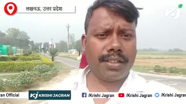 कई प्रजातिओं के गन्ने के साथ हो रही आलू और चकुंदर की अन्त : फसली खेती 
 #farmerthejournalist #ftj #krishijagran