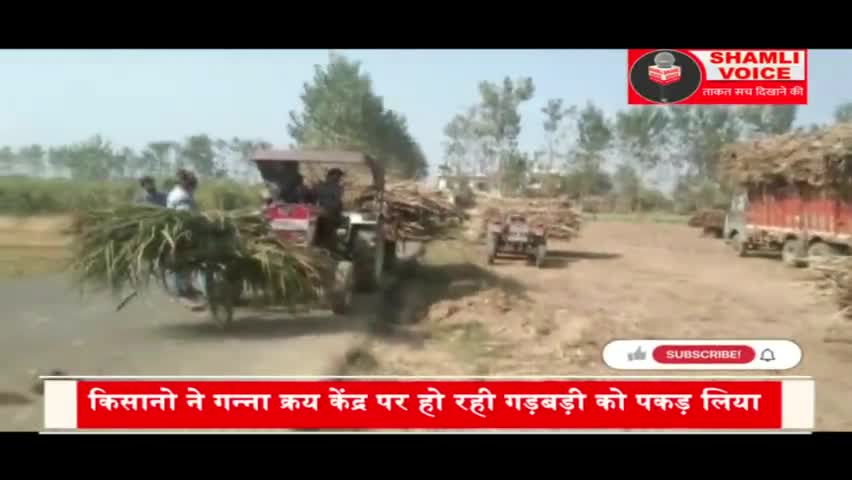 शामली: गन्ना क्रय केन्द्र पर हो रही घटतौली को किसानों ने पकड़ा #kisan #ganna #sugarcane #shamli