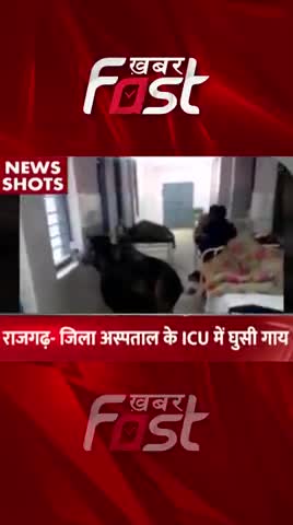 राजगढ़- जिला अस्पताल के ICU  में घुसी गाय 

#Khabarfast  #rajgarh #Cow #DistrictHospital #MadhyaPradesh #ICUward #Reels