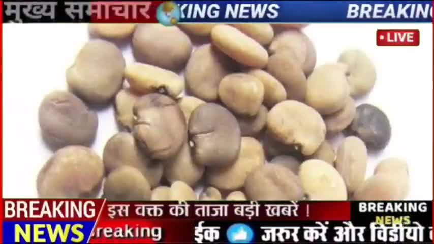 ग्वार रोके या बेचे, किसानो की बढ़ी चिताएं
#nagaur #nagaurnews #nagaurmandi
