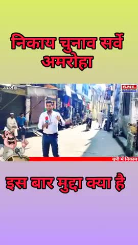 nikay chunav survey #amroha #निकायचुनाव
