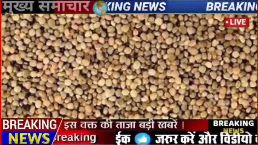 ग्वार के भाव में आ सकता है उछाल
#nagaur #nagaurnews #nagaurmandi