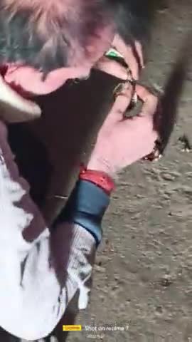 चकरी पटाखे से हादसा कृपया कोई भी पटाखा हो सावधानी से जलाएं यह धोखा आपके साथ भी हो सकता है।#पब्लिकपोस्ट#वायरलवीडियो#न्यू