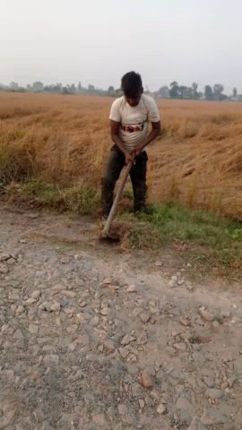 महाराजगंज: महराजगंज के रुधौली भावचक में ग्राम प्रधान द्वारा रोड की सफाई#newsportalindia #utterpradesh#