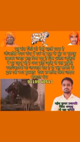 #विश्वहिंदूमहासंघगौरक्षासमितिजनपदबांदा 
अगर कोई व्यक्ति इस घटना की जानकारी देता है उसका नाम गुप्त रखा जाएगा और गौ रक्षा