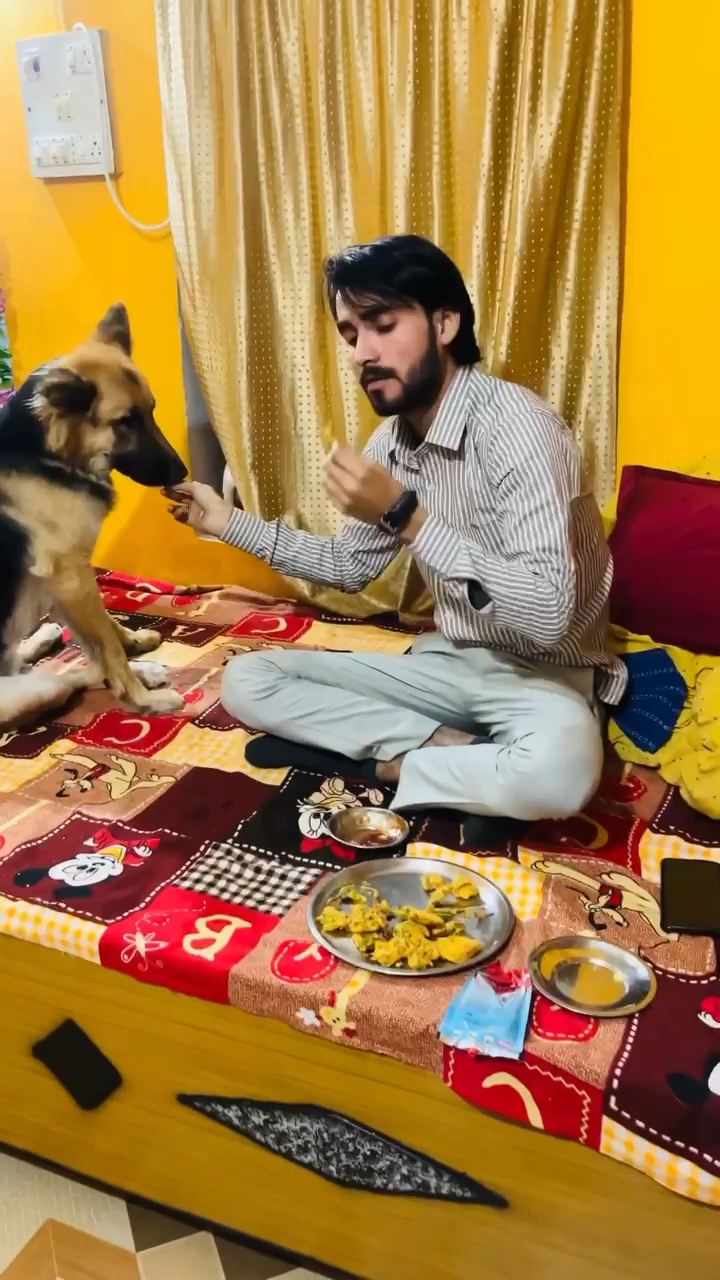My cute Jerry 🐕💕
Respect animals 
Respect Girls please help poor people 
#apsgurjar 
#dog #cute #doglove
