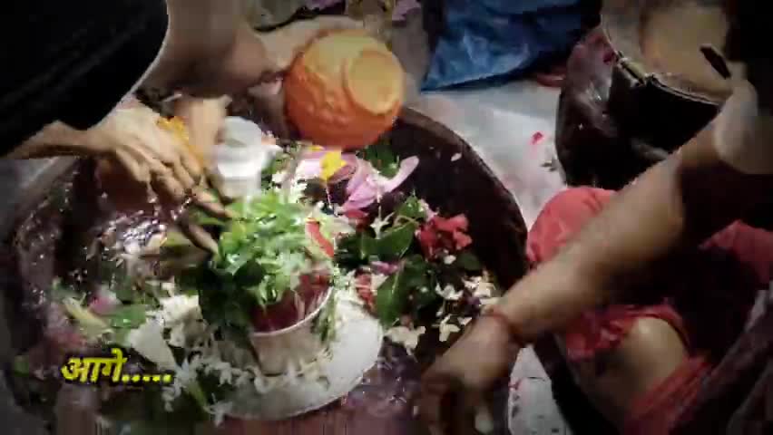 बाबा बासुकीनाथ दर्शन #mahadev #basukinath