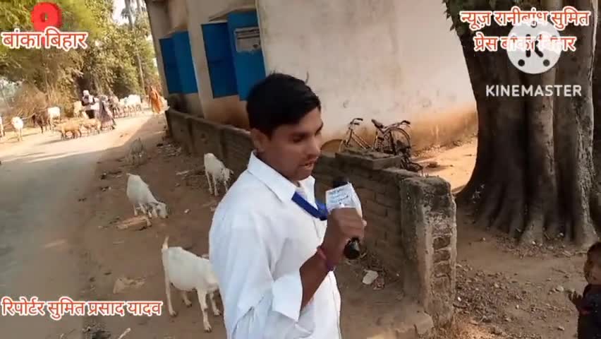 #मालवथान गांव के मध्य #विद्यालय की क्या है स्थिति जो की बसमत्ता पंचायत #कटोरिया बांका क्षेत्र स्थित है