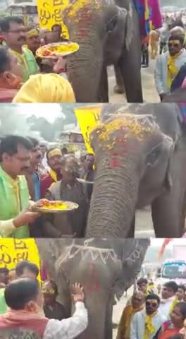 हम हिंदू हैं, ईसाई नहीं, जो क्रिसमस मनाएं ,आओ 25 दिसंबर "तुलसी पूजन दिवस " मनाएं ।
 #सेवक हूँ,सेवक ही रहूँगा 
#विमल द्विवेदी