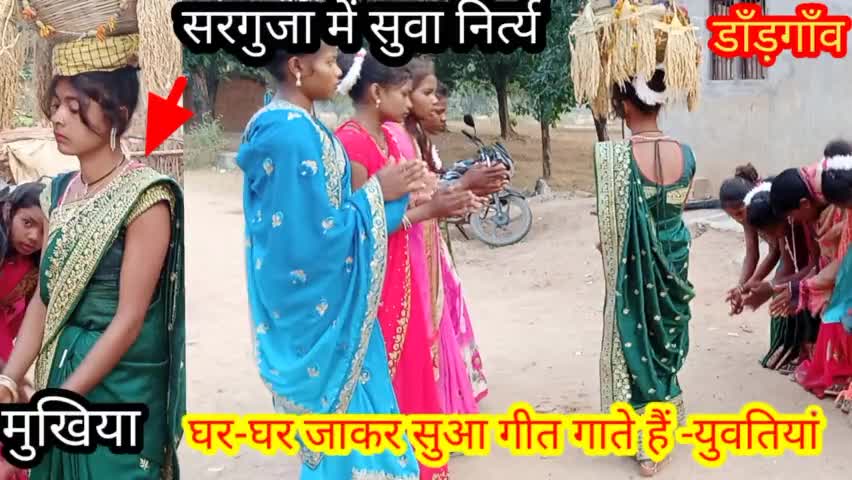 हमारी संस्कृति हमारी पहचान -सुआ गीत #surguja #udaipur #dandgaon #tribalvillage