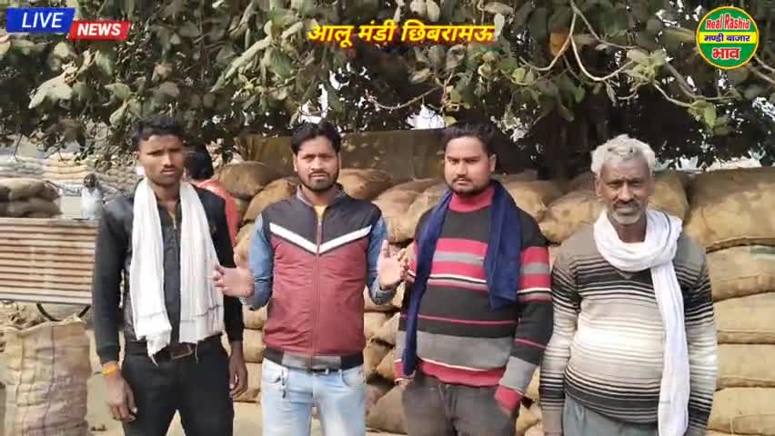 छिबरामऊ मंडी में आमद रही कम आलू के भाव में बड़े ₹50 ! आज का आलू का भाव छिबरामऊ मंडी #aalu