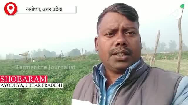 काली मिर्च की खेती कैसे करें
#agriculturetoday #agriculturenews