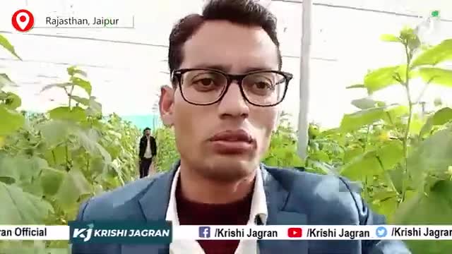 Poly House में खीरे की खेती से लाखों के ऊपर पहुंचा किसान का मुनाफ़ा
#polyhouse #agriculture #farmersofindia