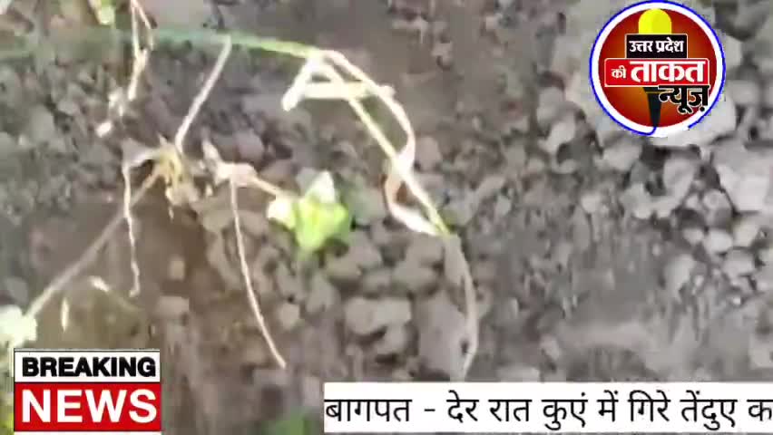 #बागपत - देर रात कुएं में गिरे तेंदुए का वीडियो हुआ वायरल, वन 
विभाग की टीम मोके पर पहुंच कर रेस्क्यू में जुटी,