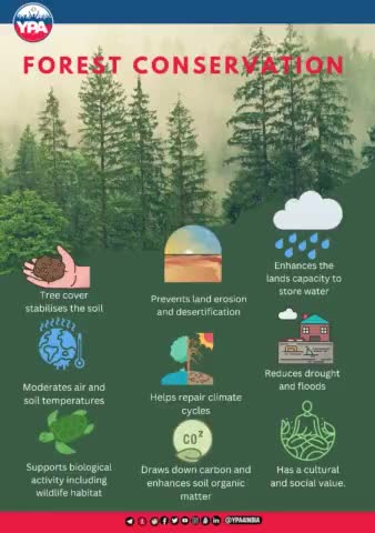 Save the forest because it serves us a lot, without taking anything from us and our only duty is to save it...!!
#savetrees #nature #trees #saveearth #savenature #photography #india #environmental #naturelover #ypa #ypa4india