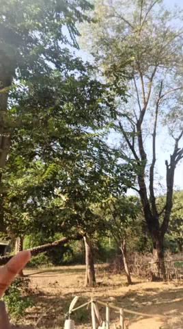 लापरवाही ही लापरवाही #ramji.sah #dumka #jharkhandgovernment #newsheadlines