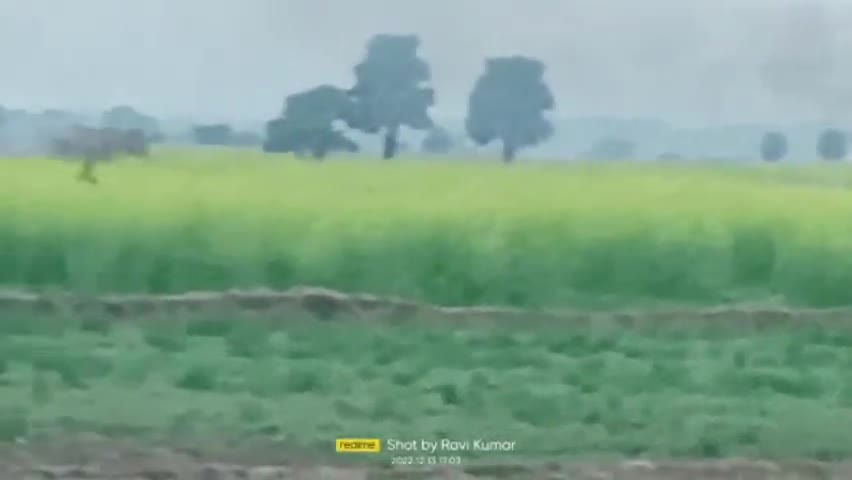 देव: gav me akar kar rahi hai pareshan hathi ak chund 14hathi utari hai van bibhag ko ho rahi hai kathinaiya bhagane me#ajtak