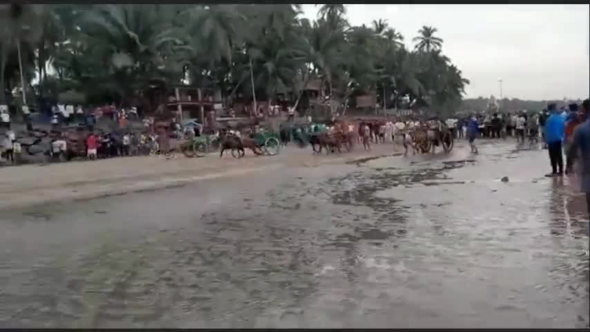 मुंबई : HC के रोक के बावजूद गोराई बीच पर बैलगाड़ी और घोड़ा गाड़ी की रेस हुईगोराई पुलिस ने दर्ज की FIR
#Sbnews  #viral