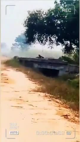 धामपुर: जिला- बिजनौर के नेहटोर थाना के पास ग्राम- नसीबपुर जसमौर मे तेंदुए का कहर #bijnor #nehtaur #tenduaa