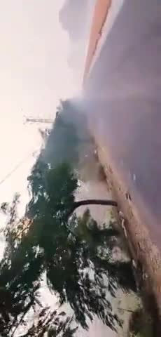 लाडपुरा: कुन्हाड़ी क्षेत्र के नांता इलाके में पड रहा है जम कर कोहरा आने वाले दिनों में बढ़ सकती है ठंड #kota #news90092 #kotanews