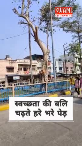 इंदौर: स्वच्छता के नाम इंदौर के हरे भरे पेड़ों की कटाई #indorecity #indorenewslive #swamitv