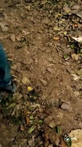 first time made video with song 
#kgf2 #bollywoodtrendingnews