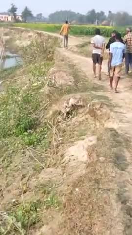 छातापुर: ग्रामीणों में आशा की किरण, SDO ने नदी के किनारे सड़क का सर्वेक्षण किया #tejpartapyadav