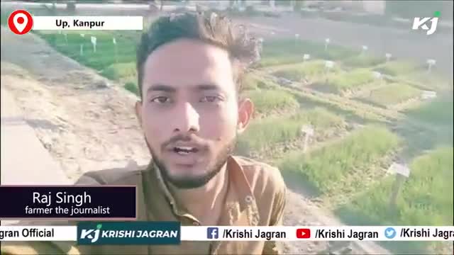 How to grow onion/प्याज़ की खेती का अचूक तरीका/ Onion grower
#Agrinews #Agriculture #Farmers