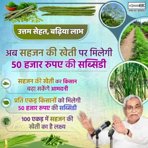#अब सहजन की खेती कर #किसान बढ़ा सकेंगे आमदनी... इसके लिए प्रति एकड़ किसानों को 50 हजार रुपए का #सब्सिडी दिया जाएगा। नीतीश सरकार की 100 एकड़ में सहजन की खेती करने की योजना है।
#Krishi #Kisaan