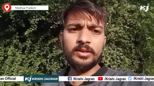कम खर्च में शानदार मुनाफा देगा बेर की खेती
#agricluture #farmers