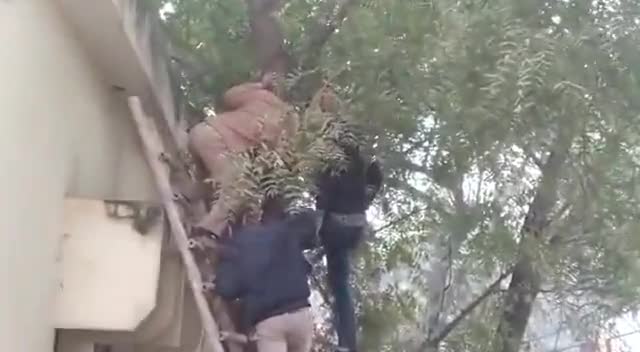 सिपाही ने लगाई फांसी

छिबरामऊ न्यायालय परिसर में तैनात था सिपाही

#kannauj #chibramau #crimereport