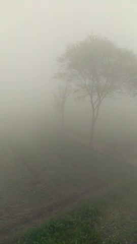 लालसोट: लालसोट (दोसा) श्रीरामपुरा मैं आज इस वर्ष की लास्ट दिनांक को कड़ा केदार कोहरा सर्दी
#lalsot #viralnewes