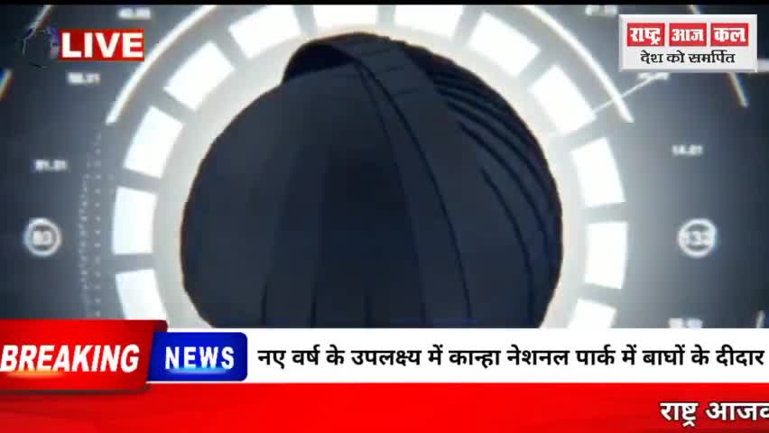 कान्हा नेशनल पार्क में बाघों के दीदार,नए वर्ष के उपलक्ष्य में #कान्हा नेशनल#Mandla#Mp#राजनीति#Kanha
