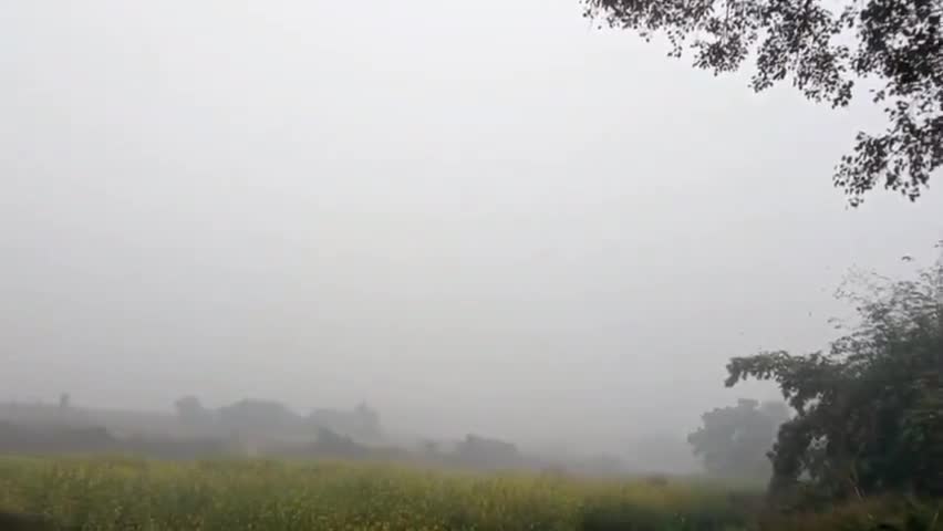 सुबह  10 बजे तक छाया रहा कोहरा #चंदौली #कोहरा