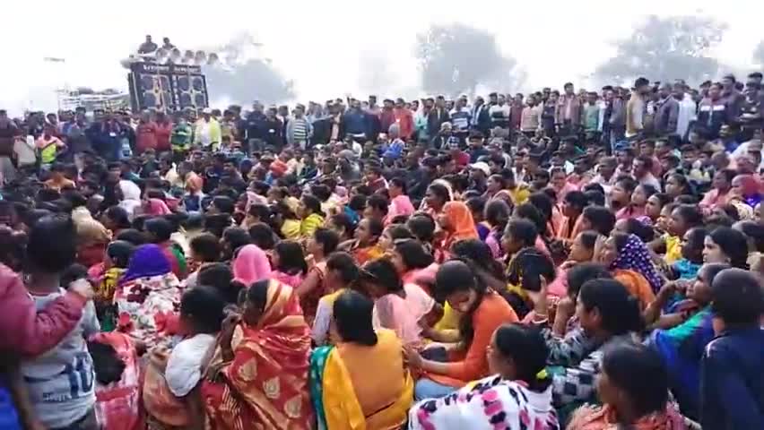 कुचाई: #tiger जयराम महतो ब्लॉक कुचाई। सेरेंदा