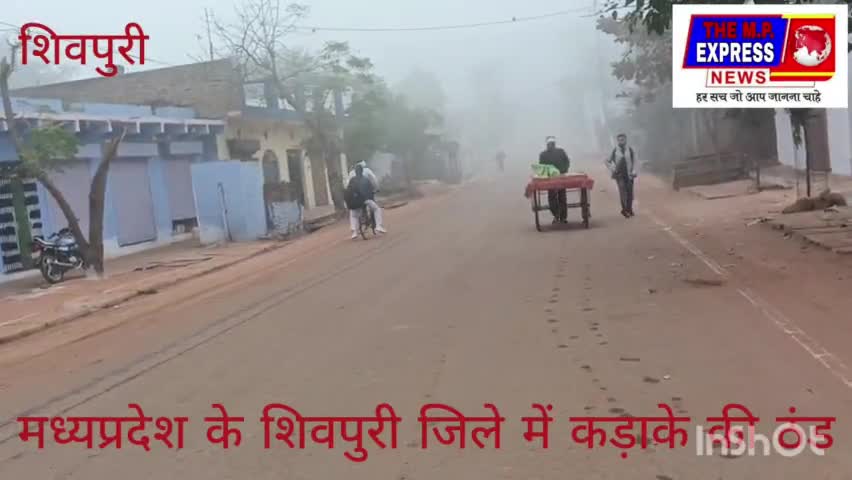 मध्यप्रदेश के शिवपुरी जिले में कड़ाके की ठंड लोग ले रहे अलाव का सहारा#shivpuri#mp#weather#district