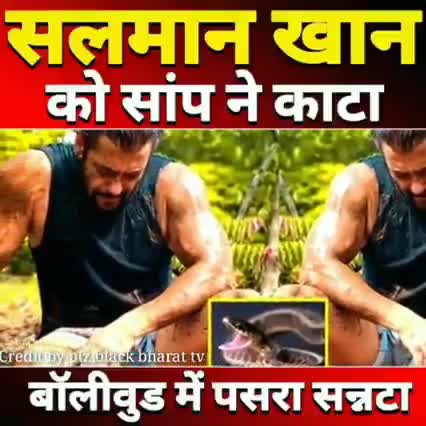 सलमान खान को साप ने तीन बार काटा और हास्पिटल मे हुए भर्ती वालीवुड मे छाया संनाटा खबर आई #स्नेक#सलमान खान#वालीवुड#चंदौली