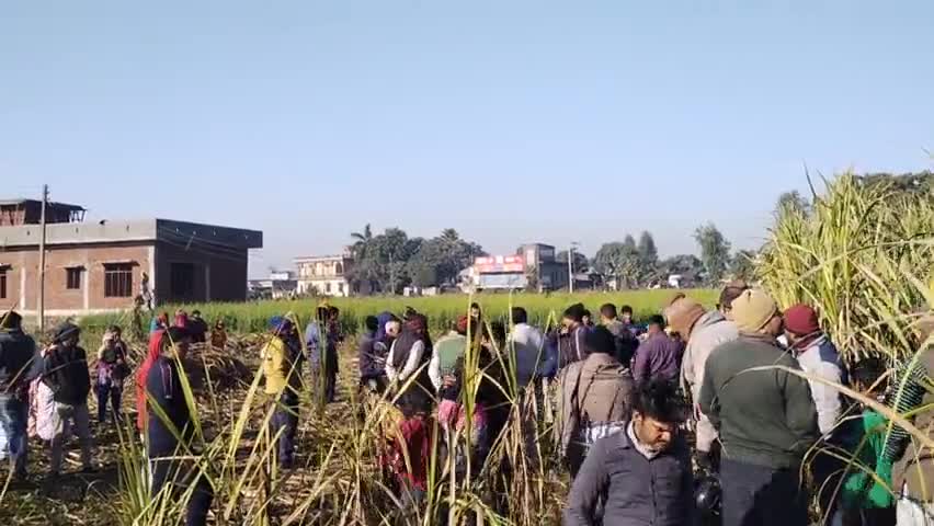 लालकुऑ: मोटाहल्दू के पास विद्युत करंट से नर की मौत
#motahaldu
#हाथी