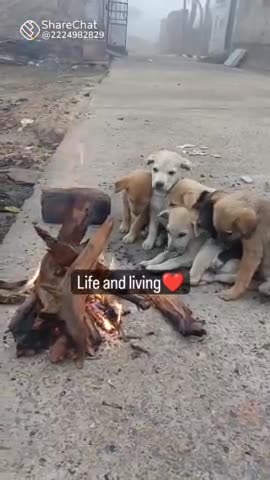 माना कि बेजुबान हूं ❤️✍️😭 #shrimurariswami